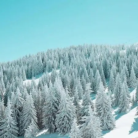 Station Kopaonik,milmari كوباونيك