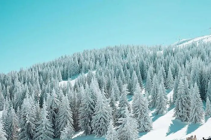 Station Kopaonik,milmari Копаоник